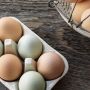 Αυγά: Η πιο ανέξοδη και ποιοτική πρωτεΐνη που υπάρχει!
