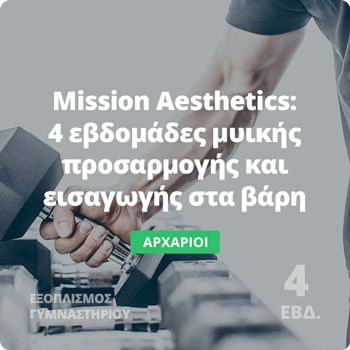 Mission Aesthetics - Ensomati Fitpro