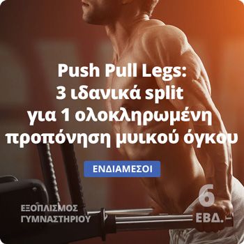 Push Pull Legs - Πρόγραμμα μυικού όγκου
