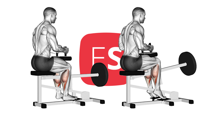 mc-seated-calf-raise