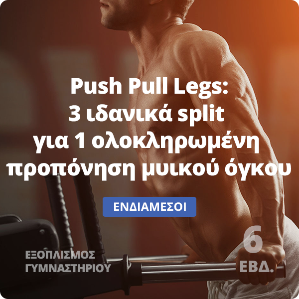 Push Pull Legs - Πρόγραμμα μυικού όγκου
